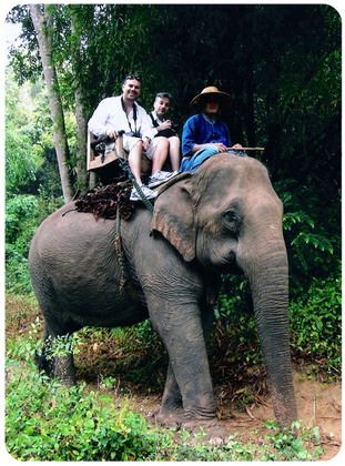 Koh Phangan - Elephant trekking